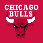 Chicago Bulls Youth Basketball T-Shirt - Game Day Fan Gear
