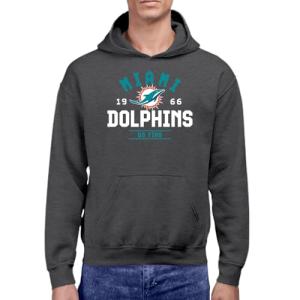 Miami Dolphins Team Motto Pullover Hoodie - Grey