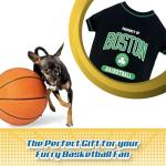 Boston Celtics Pet Hoodie & T-Shirt Combo