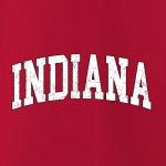 Vintage Indiana Retro Distressed Unisex Hoodie - Red