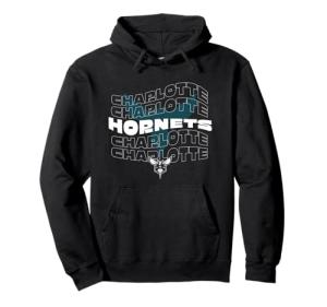 Charlotte Hornets Wave Logo Pullover Hoodie