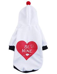 Valentine's Day Dog and Cat Hoodie Outfit