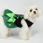 Cutest Clover St. Patrick's Day Dog Dress