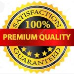 Funny "Why Is Carpet Wet?" Couples Christmas Tee