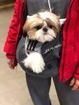 Unisex Pet Carrier Hoodie - Dark Grey