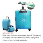 Portable Digital Luggage Scale with Backlit Display