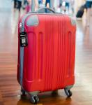 Dynotag Sentry Smart Luggage Tag with Steel Loop