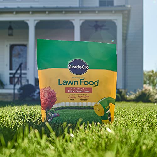 Miracle-Gro Lawn Food - All Grass Types Fertilizer