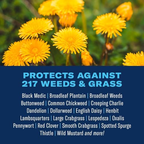 BioAdvanced All-In-One Weed and Crabgrass Killer 40 oz