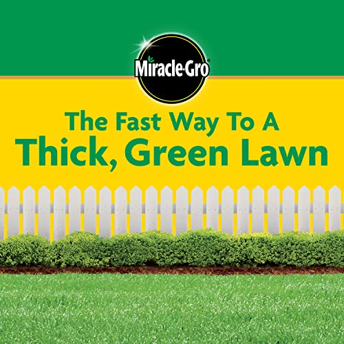 Miracle-Gro Lawn Food - All Grass Types Fertilizer