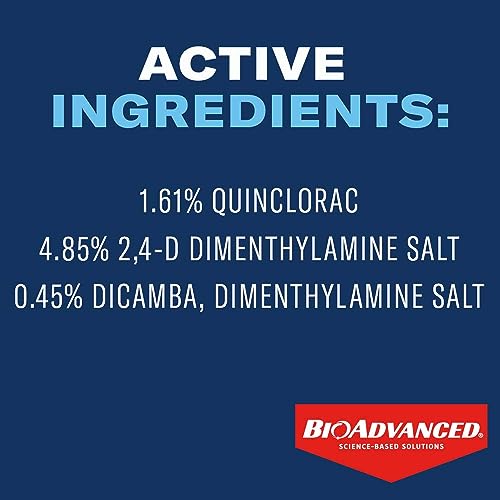 BioAdvanced All-In-One Weed and Crabgrass Killer 40 oz