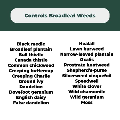 Mighty Mint Weed Killer - Safe for Lawns - 1 Gallon