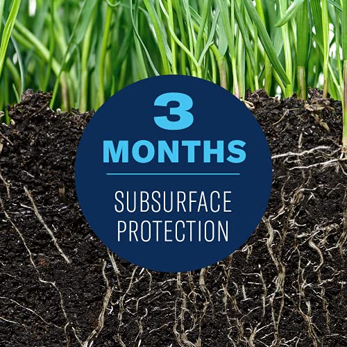 BioAdvanced Insect Killer Granules for Soil and Turf