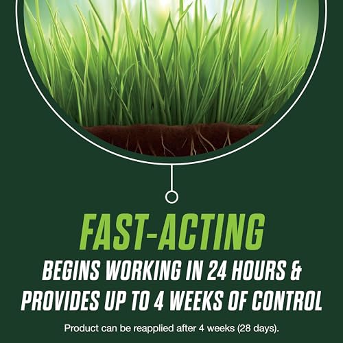 Scotts Turf Builder Lawn Food and Fungicide