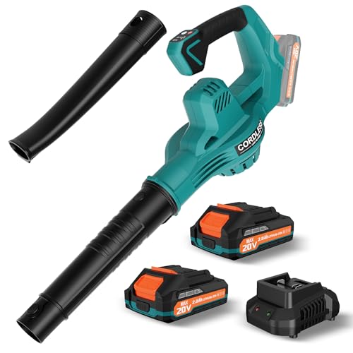 Cordless Lightweight Leaf Blower with 2 Batteries