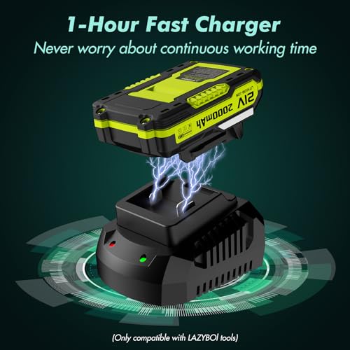 Cordless Leaf Blower with 2 Batteries and Charger