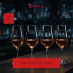 Set of 4 Spiegelau and Nachtmann Beer Glasses