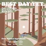 Best Day Brewing Non-Alcoholic West Coast IPA Pack