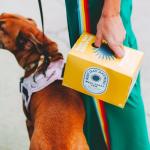 Best Day Brewing Non-Alcoholic West Coast IPA Pack