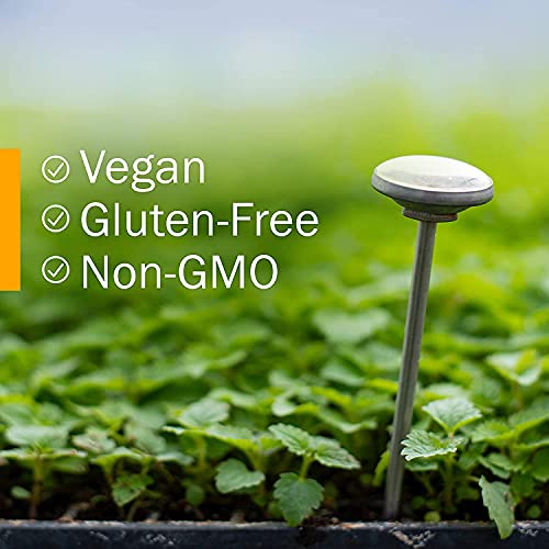 Organic Garlic Liquid Extract for Heart Health - 1 oz