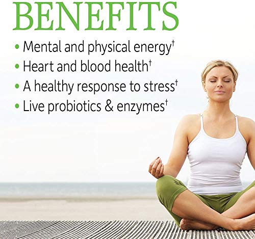 Garden of Life Vitamin B Complex 120 Vegan Caps