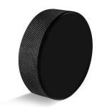 Faswin 18 Ice Hockey Pucks with Mesh Bags