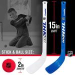 Franklin Mini Hockey Rink Set with Goals & Sticks