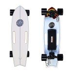 Electric Longboard with Remote Control - 350W