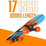 Rudeboys 17-Inch Mini Wooden Cruiser Skateboard
