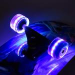 Beginner Skateboard 31 x 8 Inch with Shark Design