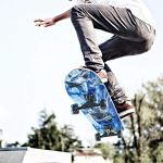 Beginner Skateboard 31 x 8 Inch with Shark Design