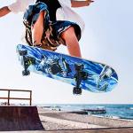 Beginner Skateboard 31 x 8 Inch with Shark Design