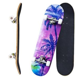 Pro Complete Skateboard for Beginners and Kids