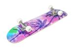 Pro Complete Skateboard for Beginners and Kids