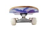 Pro Complete Skateboard for Beginners and Kids