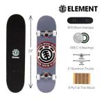 Element Icon Gray 31" Complete Skateboard for All