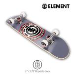 Element Icon Gray 31" Complete Skateboard for All