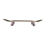 Element Icon Gray 31" Complete Skateboard for All