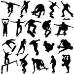 Anneé 31x8 Inch Unicorn Complete Skateboard for Beginners