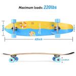 Slendor 42-Inch Pintail Longboard Skateboard Complete