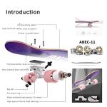 42-Inch Longboard Skateboard for Cruising and Tricks