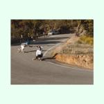 Blood Orange Morgan 70mm Longboard Wheel - Coral