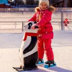 1 Pair Toddler Ice Skates- Adjustable Kids Ice Skates- Double Runner Ice Skates with Strap Fastening for Toddlers, Kids, Junior Skater (Blue)