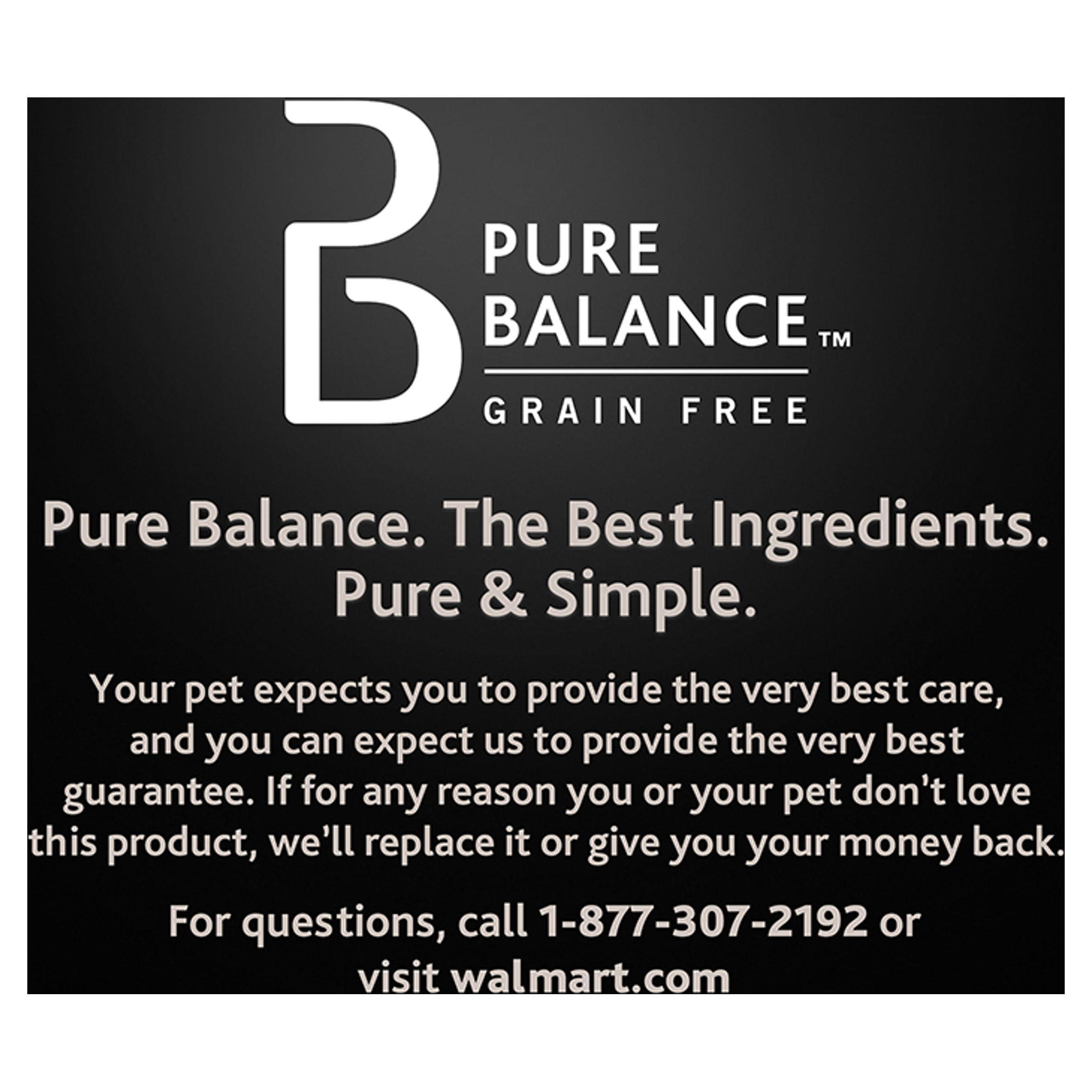 Pure Balance Wild & Free Salmon Dry Dog Food