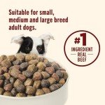 Nutrish Real Beef & Brown Rice Dog Food 6 lb
