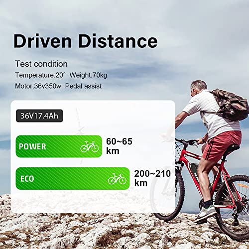 Yose Power 36V 17.4Ah Ebike Battery with USB