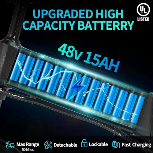 Ridstar 1000W Electric Fat Tire Folding Bike