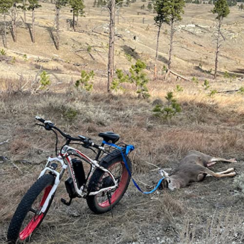 SENADA 1000W Fat Tire Electric Bike for Adults