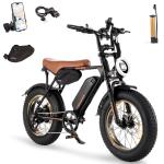 Skeri 750W Adult Electric Scooter with Fat Tires