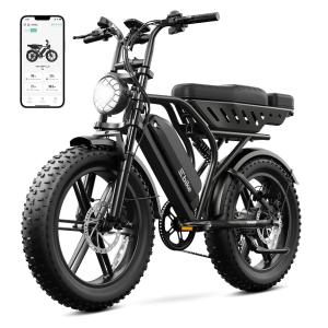750W Electric Mountain Bike with Fat Tires